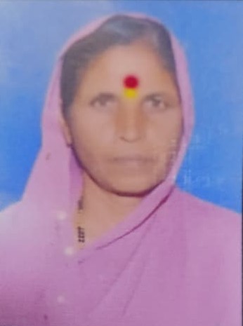 सदस्य